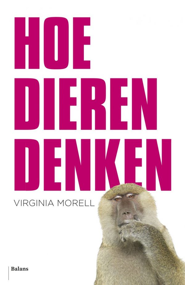 Hoe dieren denken