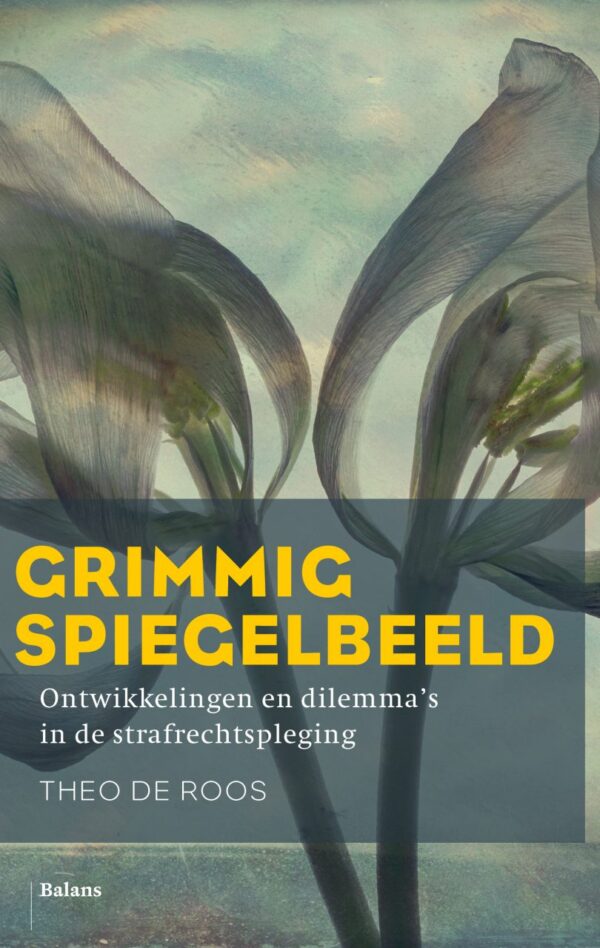 Grimmig spiegelbeeld