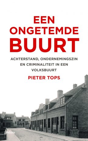 Een ongetemde buurt