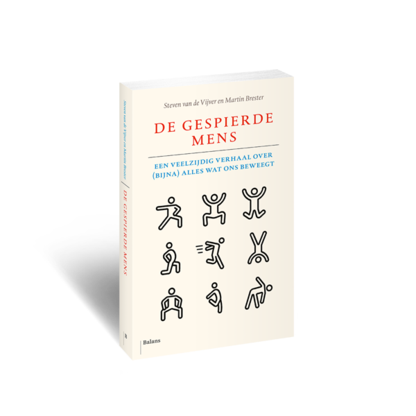De gespierde mens
