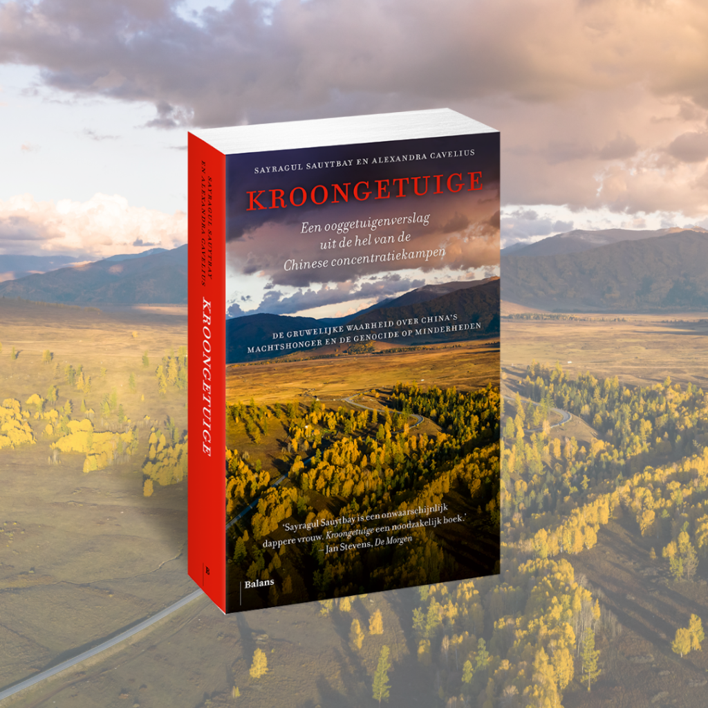 Uitgelichte afbeelding: 3D cover Kroongetuige - achtergrond landschap