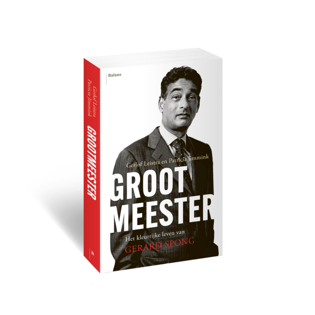 3D afbeelding van het boek Grootmeester