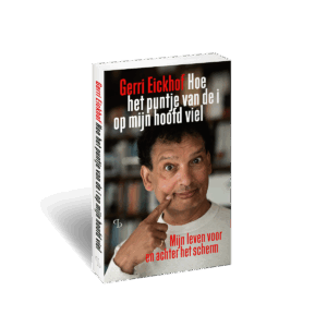 3D omslag van het boek Hoe het puntje van de i op mijn hoofd viel van Gerri Eickhof
